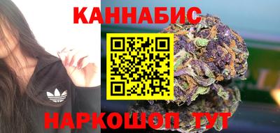 стафф Лесосибирск