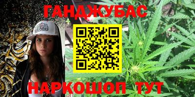 стафф Лесосибирск