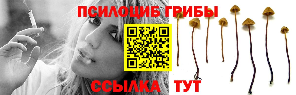 Псилоцибиновые грибы ЛСД  Вход с VPN  Всеволожск 